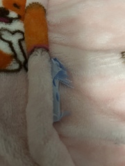 Thread 10 - crushing grapes underfoot as we sprint towards Christmas