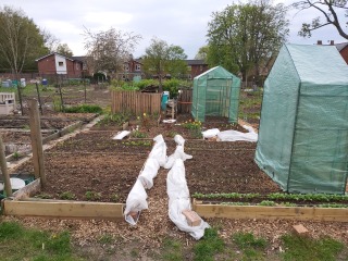 The Vegetable Patch Mark 2
