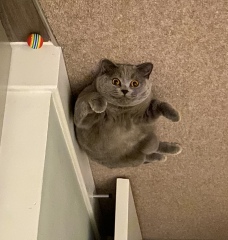 Thread 1 - Lifeboat Muster Point for TalkExiles