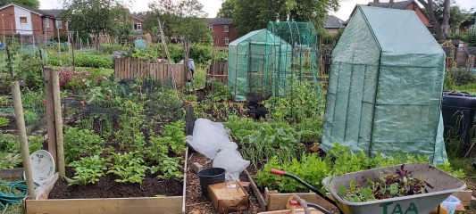 The Vegetable Patch Mark 2