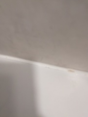 Best way to remove black mould from bathroom sealant?