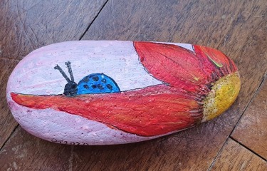 Taking painted rocks on holiday