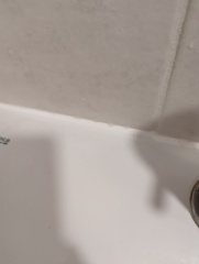 Best way to remove black mould from bathroom sealant?