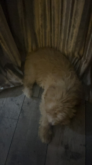 Pre Christmas 22 Boot Camp: Week 6