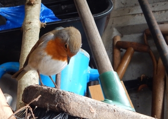 Thread 1 - Lifeboat Muster Point for TalkExiles