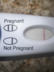 Positive Pregnancy Test? 