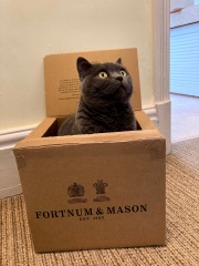 Fortnum and Mason indulgent treats and gifts