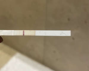 Clear blue digital question 
