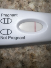 Positive Pregnancy Test? 