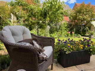 North facing garden