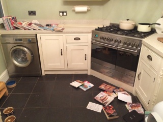 Which flooring shall I have (pic)