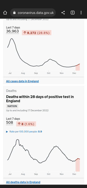 Parents want me to do and kids to do covid test before visiting