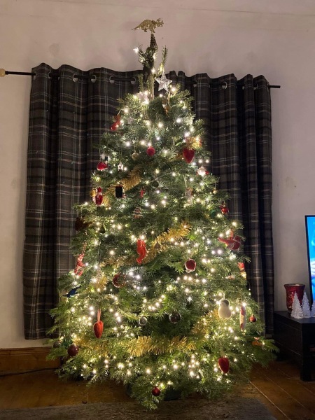 Show me your Christmas tree / decorations please. In need of inspiration