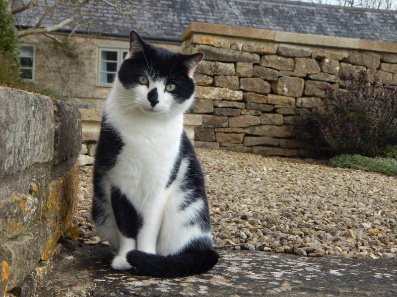 Thread 1 - Lifeboat Muster Point for TalkExiles