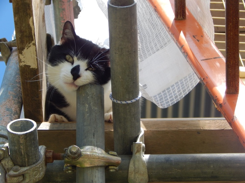 Lifeboat Muster Point for TalkExiles - Thread 2