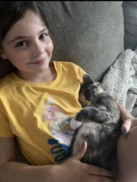Pregnant cat, help!