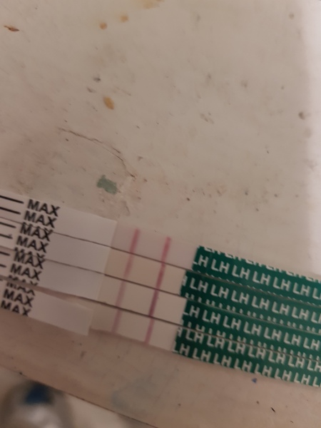 Ovulation testing help please!