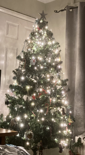 Show me your Christmas tree / decorations please. In need of inspiration