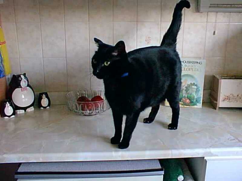 Thread 3 - TalkExiles: "The Planet Goes On Being Round"