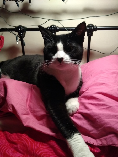 Thread 3 - TalkExiles: "The Planet Goes On Being Round"