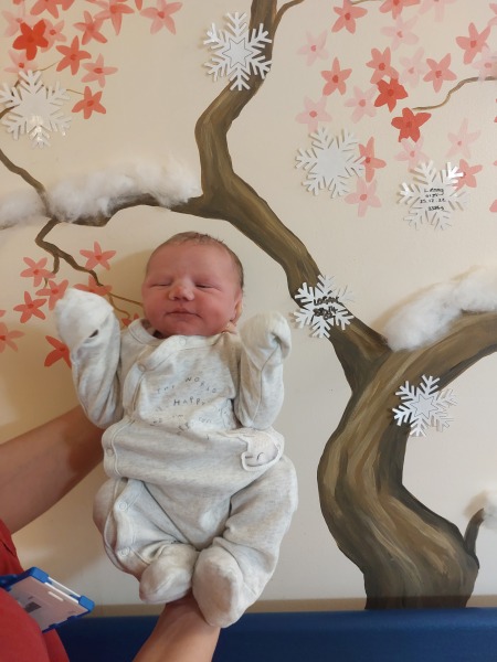Due December 2022 - the home stretch! (thread 5)
