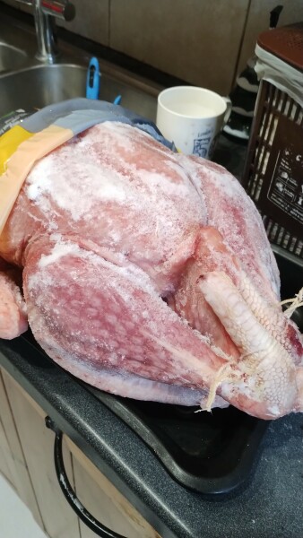 Is this turkey OK?!