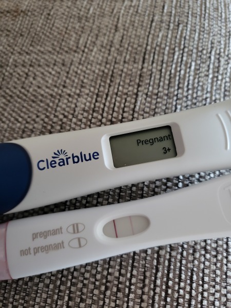 Major help needed! 