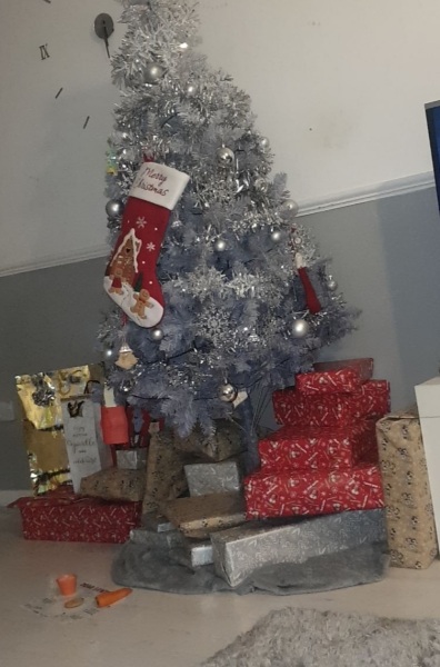 Show me your present pile