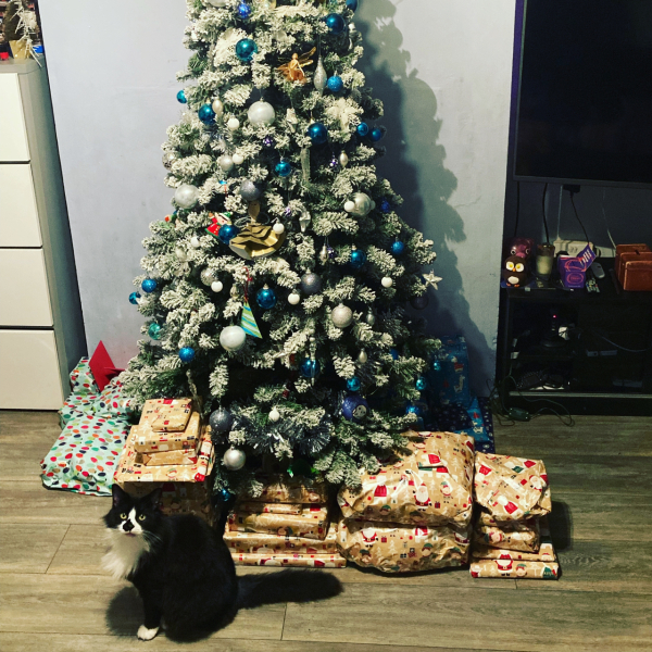 Show me your present pile