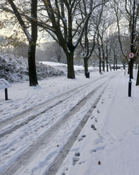 Is it snowing where you live?