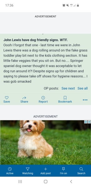 To wonder why the UK became so dog friendly?