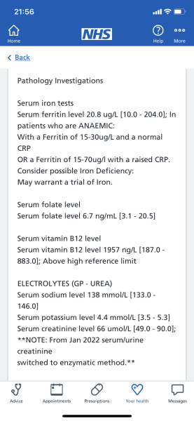 Ferritin levels and bloods results
