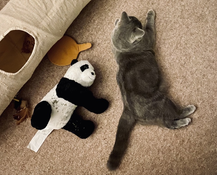 Thread 1 - Lifeboat Muster Point for TalkExiles