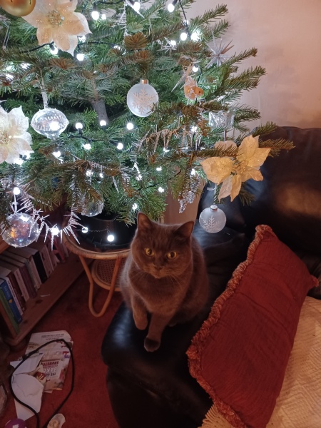 I just want a really good vacuum cleaner that doesn't cost a fortune.