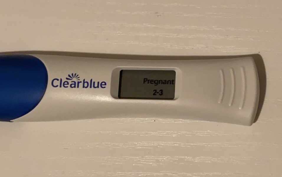Due end of Aug/Sept babies 🤞🏻