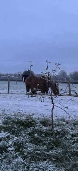 The Annual Mumsnet Christmas Weather Thread.