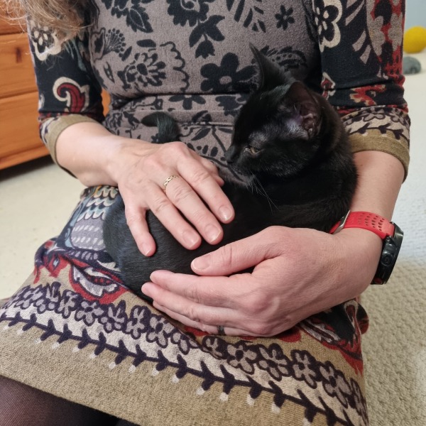 Very happy new kitten slave