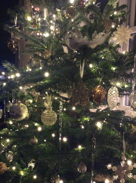 The Christmas Chronicles by Nigel Slater. Read Along Thread 2022 PART 2