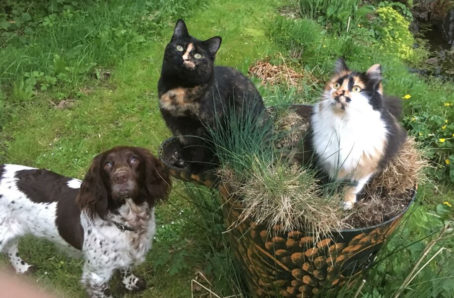 Thread 1 - Lifeboat Muster Point for TalkExiles