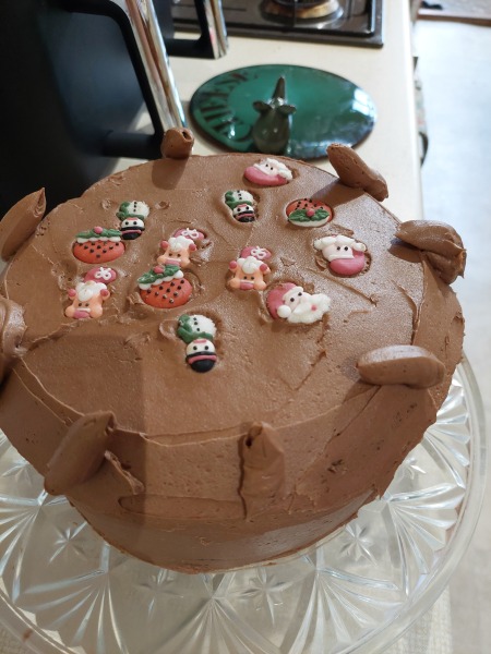 Christmas 'rocket' cake