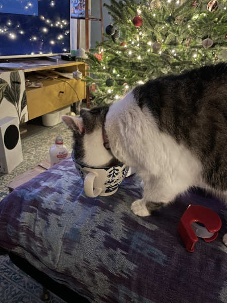 Hundreds of cats, thousands of cats, millions and billions and trillions of cats