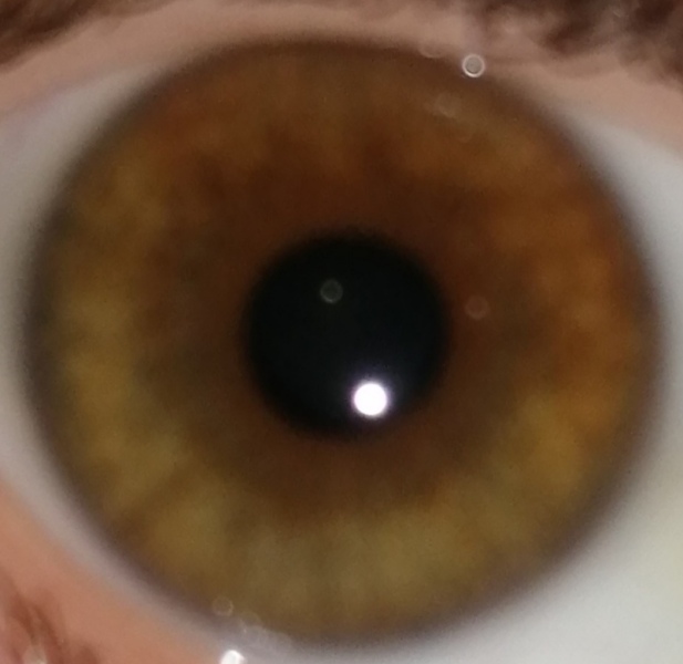 What colour are my eyes?!