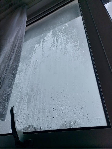 I woke up to ice inside the windows this morning