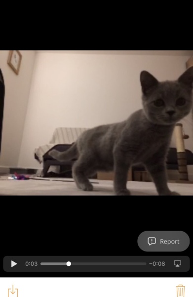 Thread 1 - Lifeboat Muster Point for TalkExiles