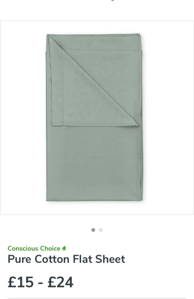 Sage green dress drama - Bride