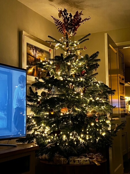 What colour lights do you have on your tree?
