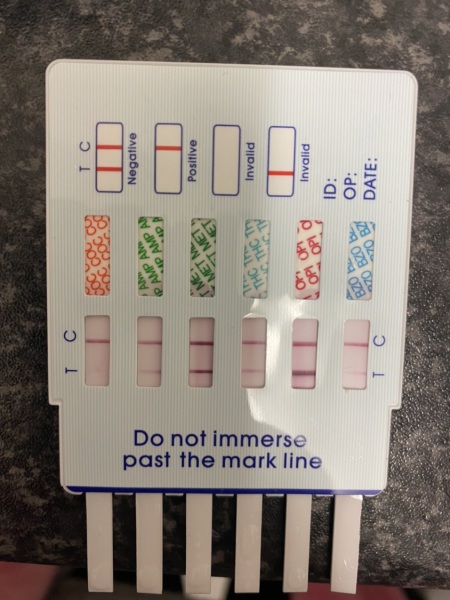 How would would you read this drugs test?