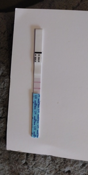 TTC after miscarriage Thread 14 🌈✨💕💙