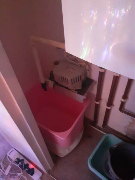 Frozen Water Pipes - help and solidarity