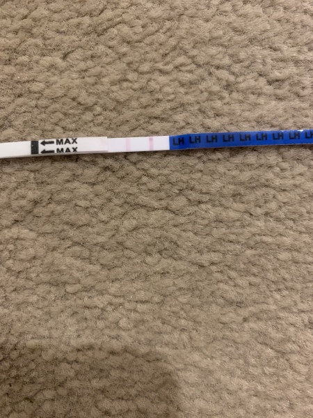 Is this a positive OPK?